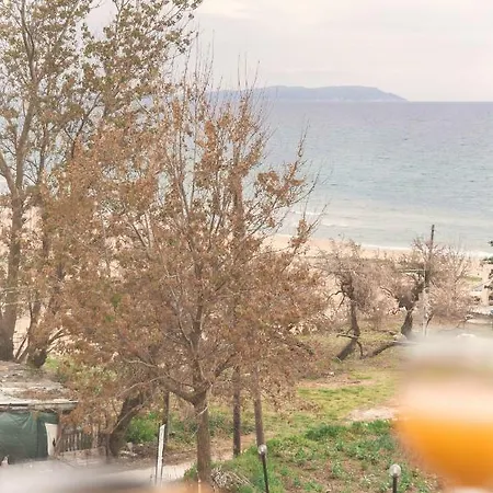 Aelia Gardeno 빌라