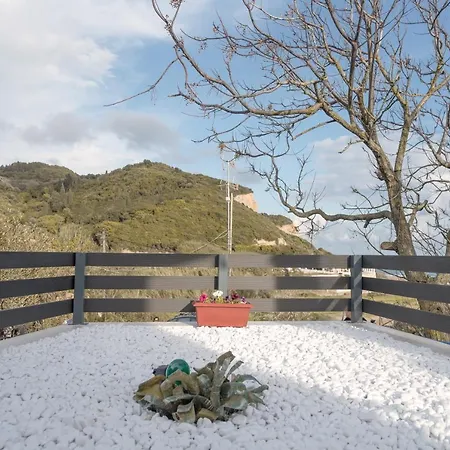 Aelia Gardeno Vitaládes